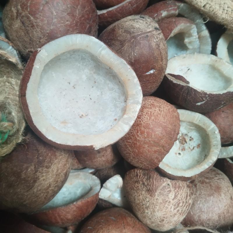 Ezhumathur Copra Auction 24.08.2026: Today’s Copra Price and Market Update