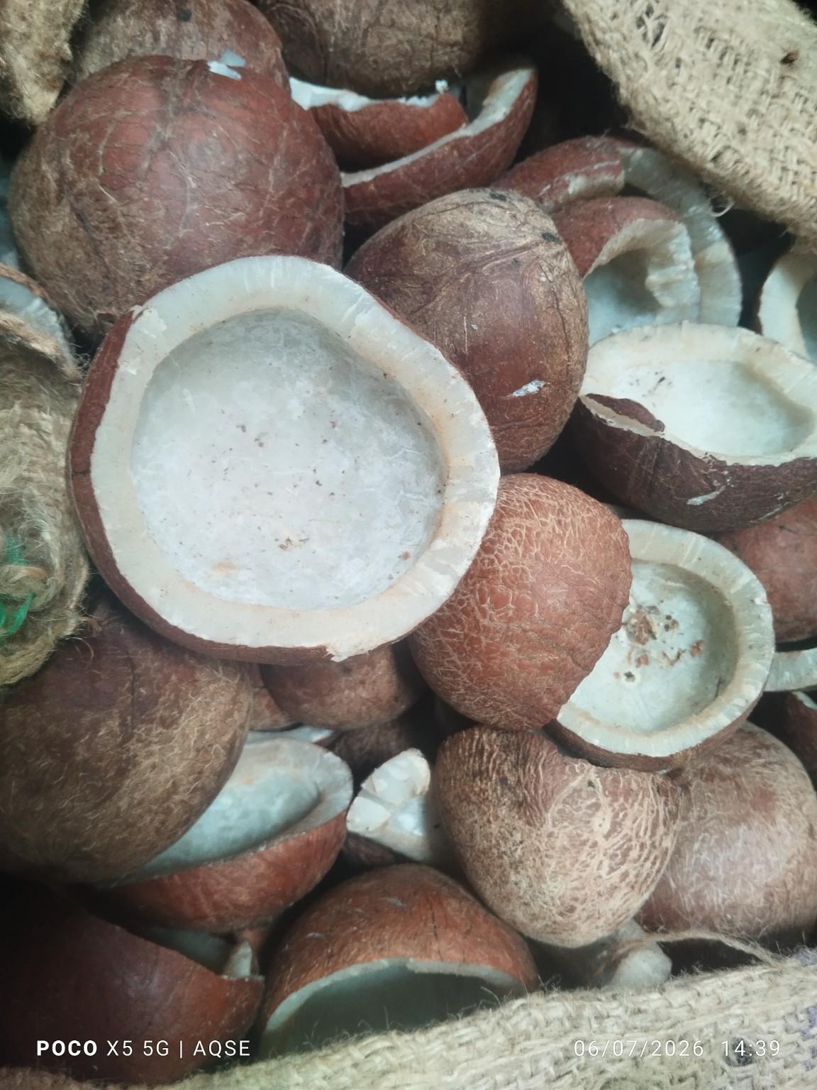Ezhumathur Copra Auction 24.08.2026: Today’s Copra Price and Market Update