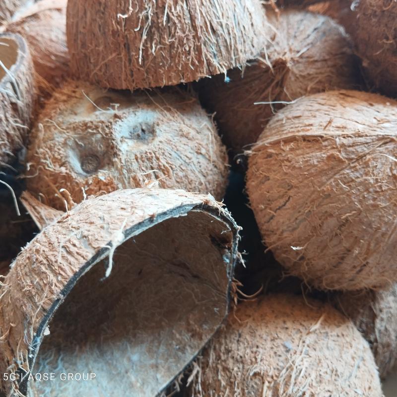Coconut Products Auction At Annur | அன்னூர் தென்னை பொருட்கள் ஏலம்