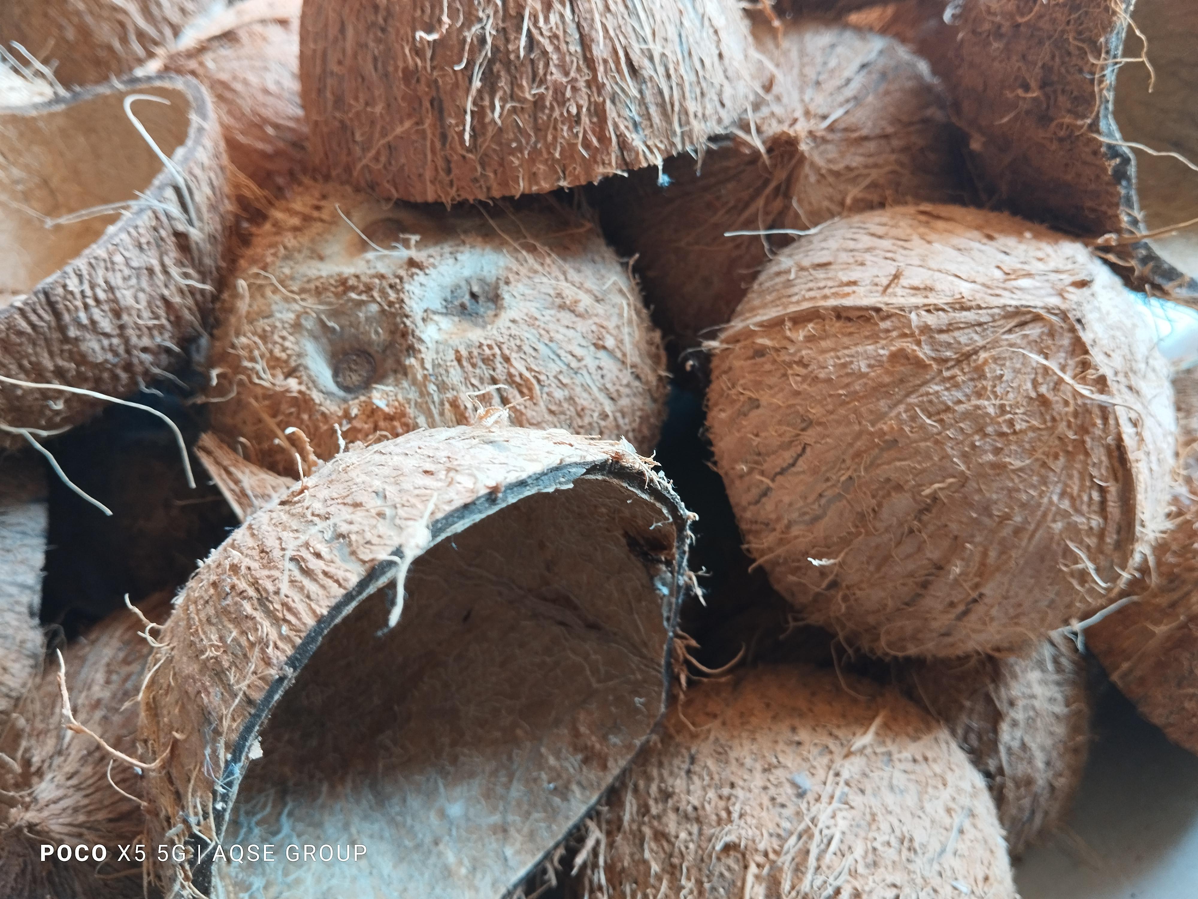 Coconut Products Auction At Annur | அன்னூர் தென்னை பொருட்கள் ஏலம்