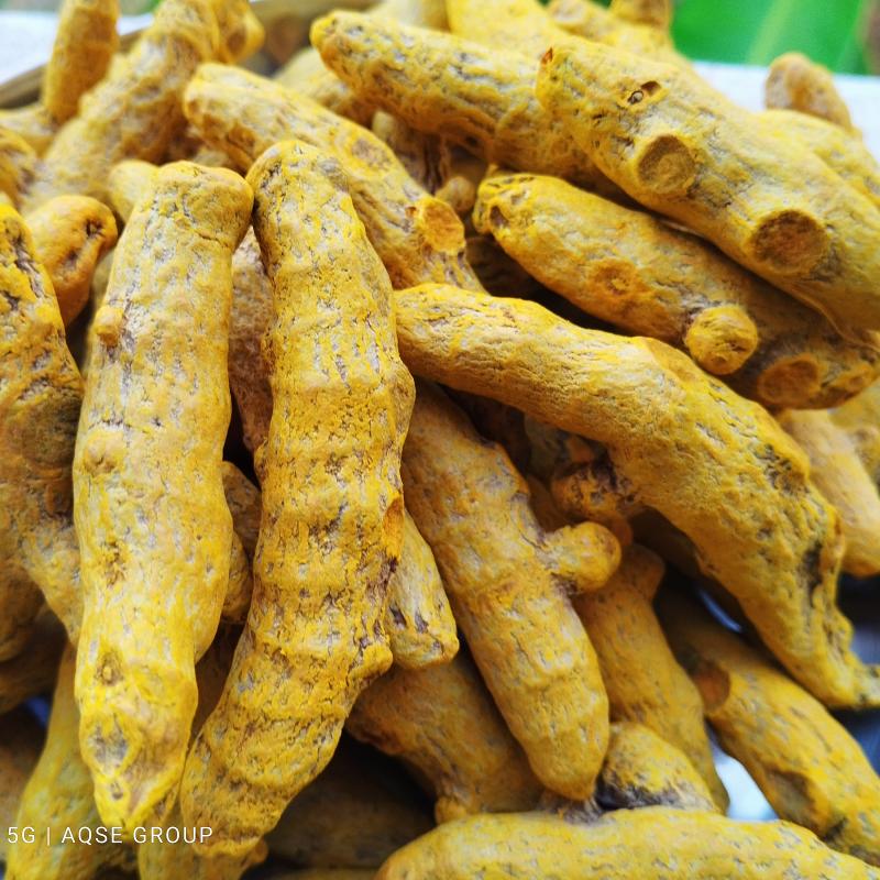 Perundurai Turmeric Price | Erode Turmeric price
