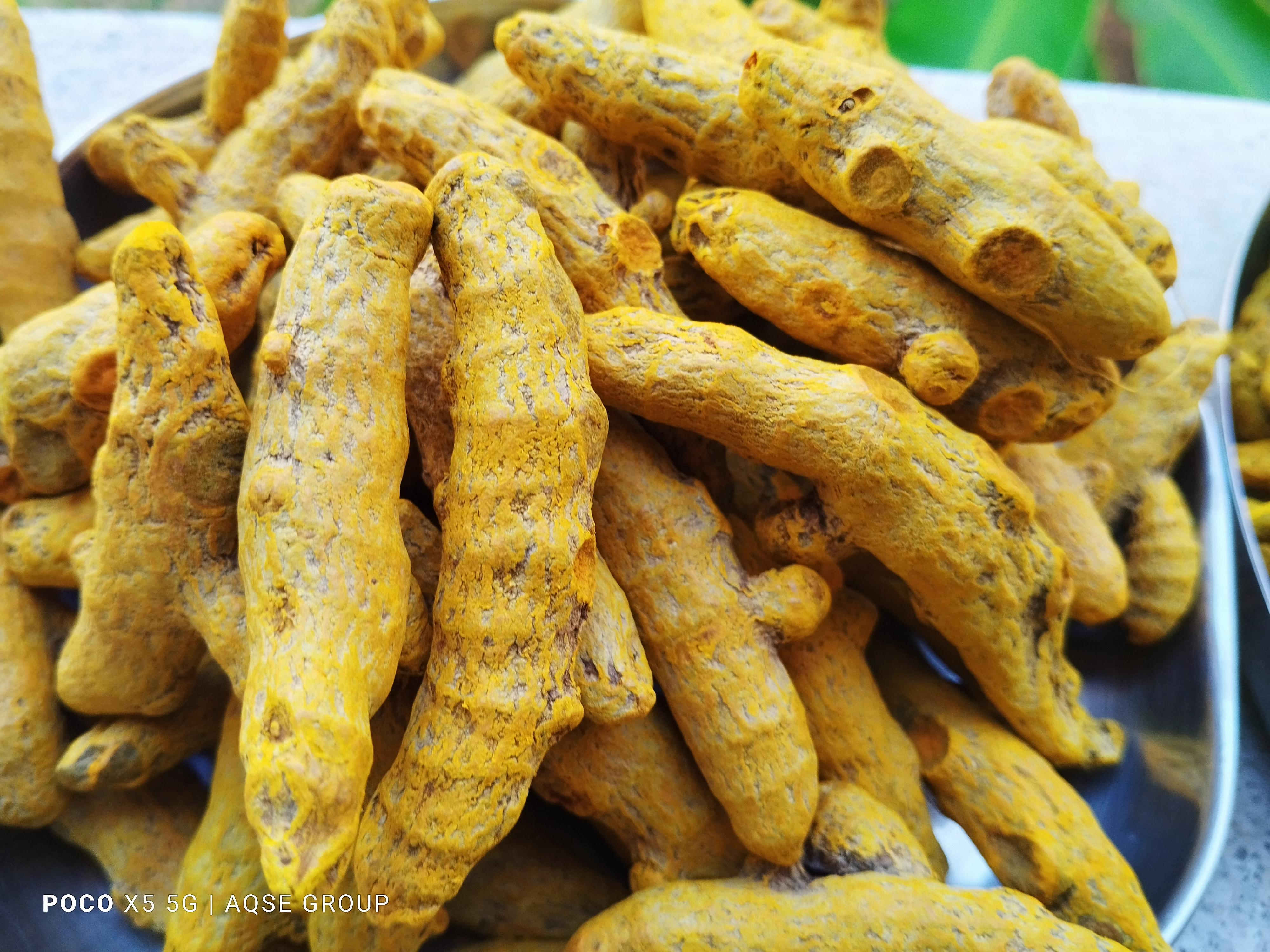 Perundurai Turmeric Price | Erode Turmeric price
